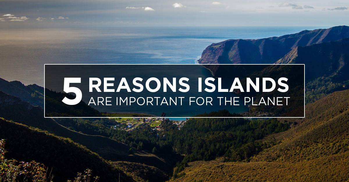 Island Conservation 5 Reasons Islands are Important for the