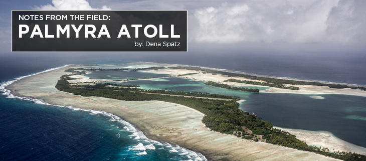 Island Conservation Nature’s Confluence From the Field The Isolated