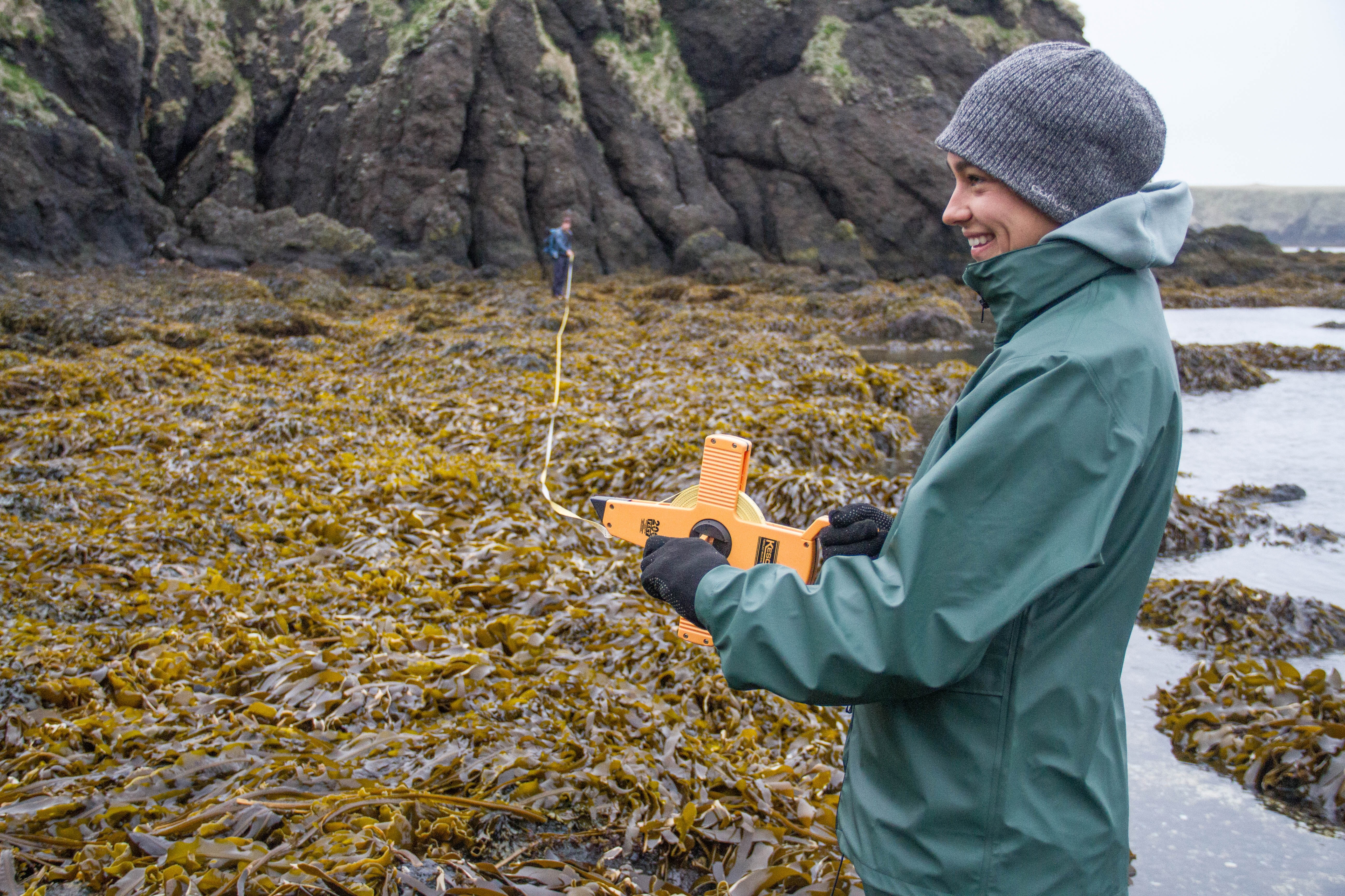 Intertidal Transect_Island Conservation