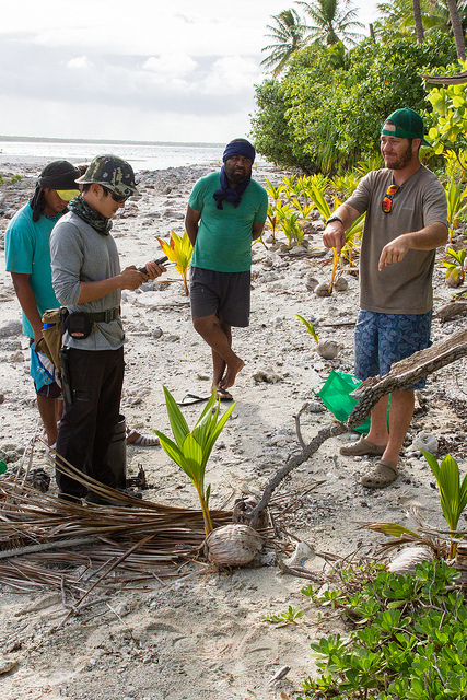 Monitoring for the presence of invasive predators on an atoll_20037806266_m
