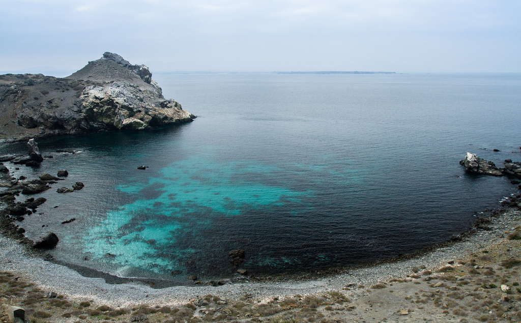 island-conservation-science-choros-island-chile- (13)