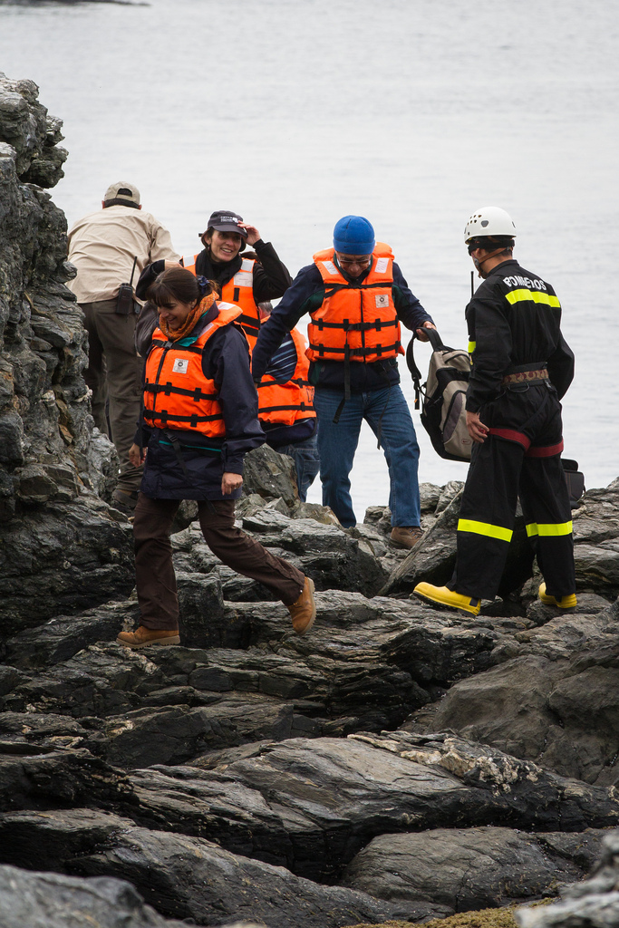 island-conservation-science-choros-island-chile- (14)