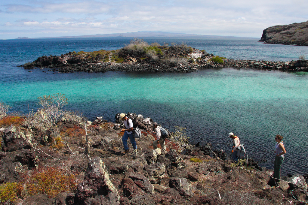 island-conservation-science-galapagos-pinzon-ecuador- (17)