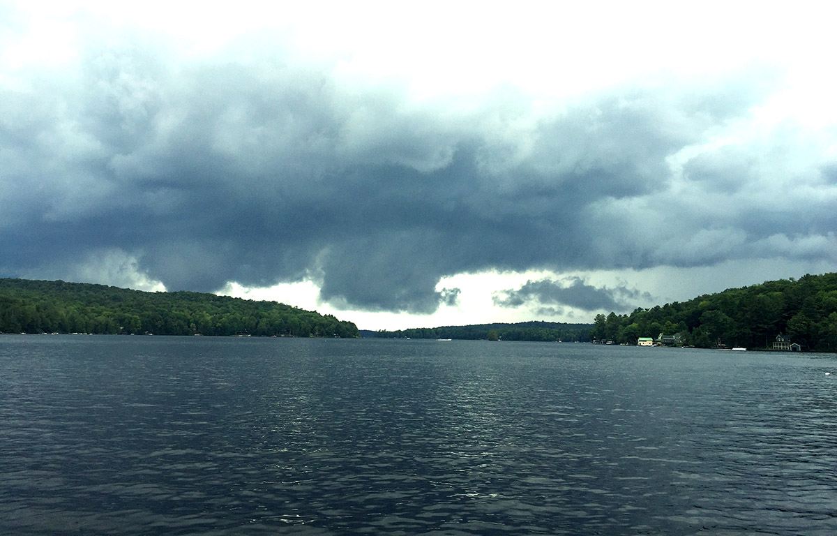 Island Conservation heath packard canada lake New York