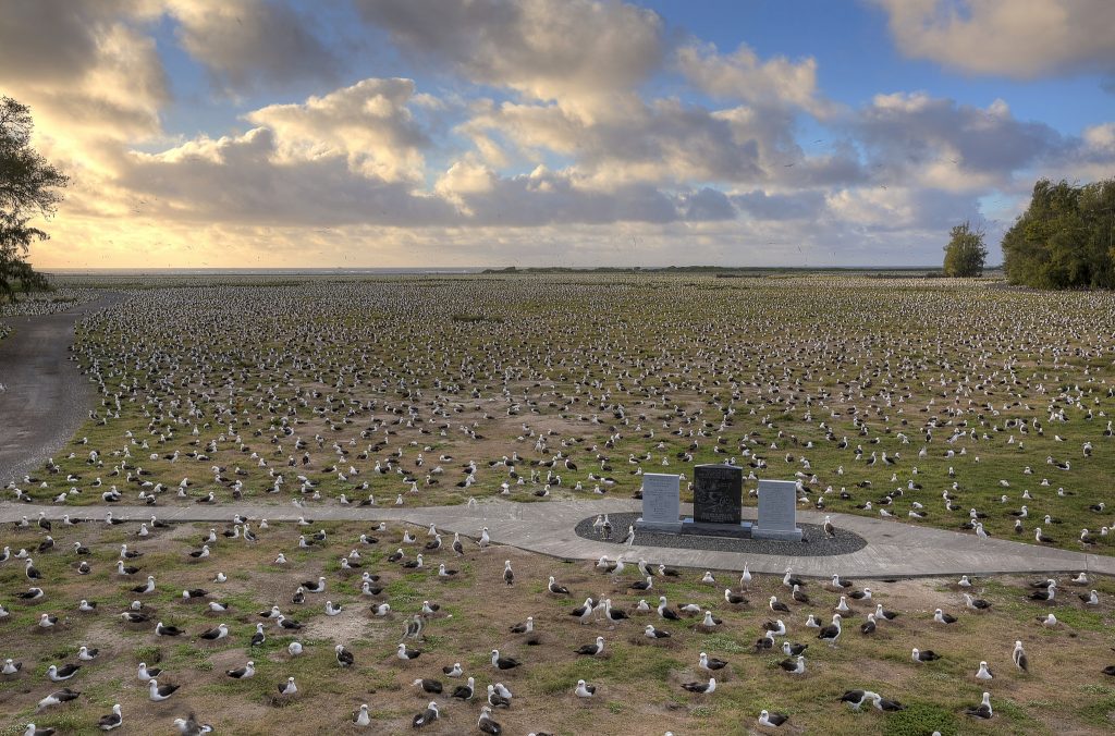 island conservation memorial birds midway