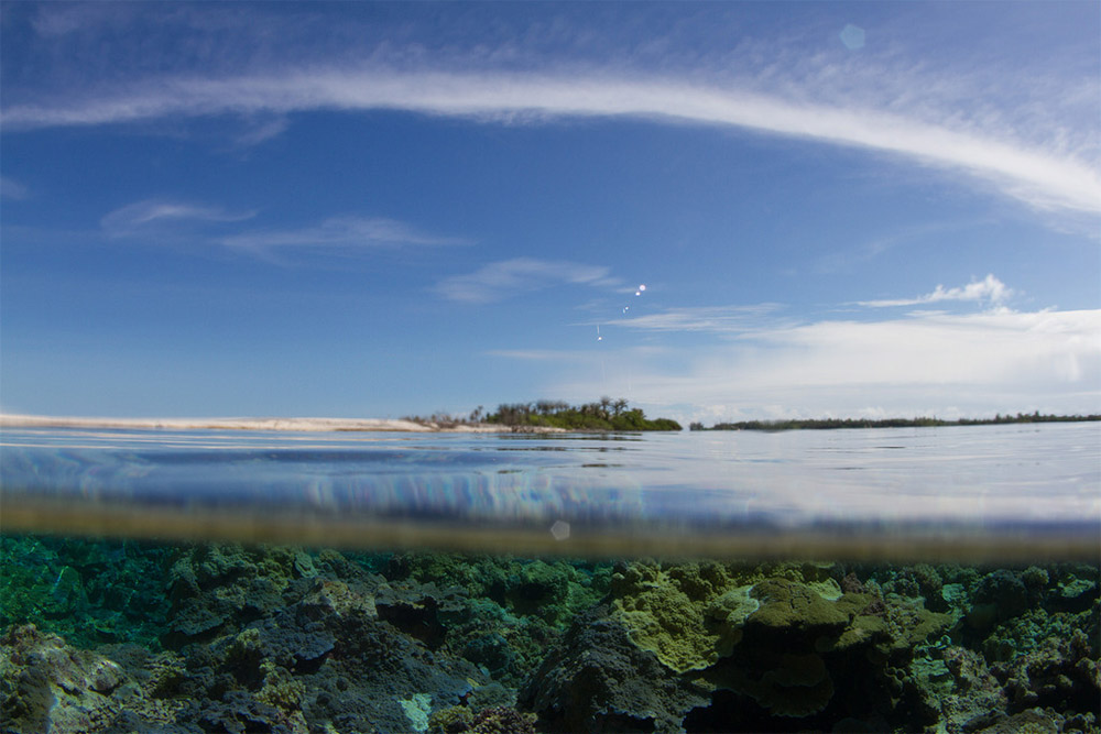 island-conservation-ocean-island-view-lehua-island