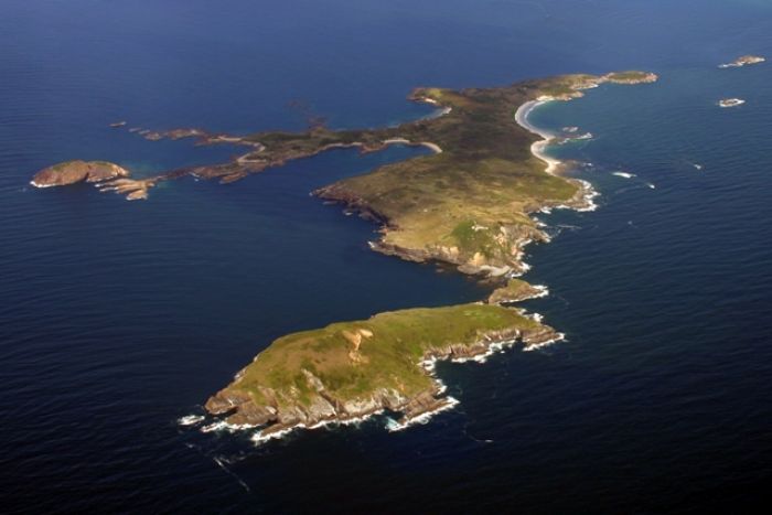 island-conservation-seabirds-broughton-island