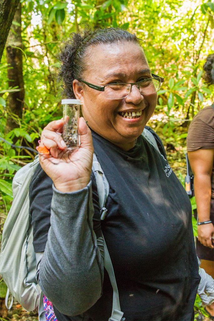 island-conservation-preventing-extinctions-palau-fieldwork