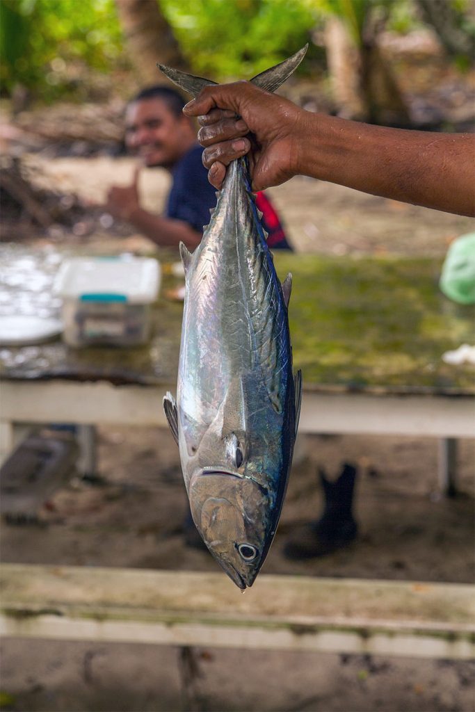 island-conservation-preventing-extinctions-palau-fish