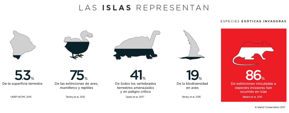 conservacion de islas infografico extinciones