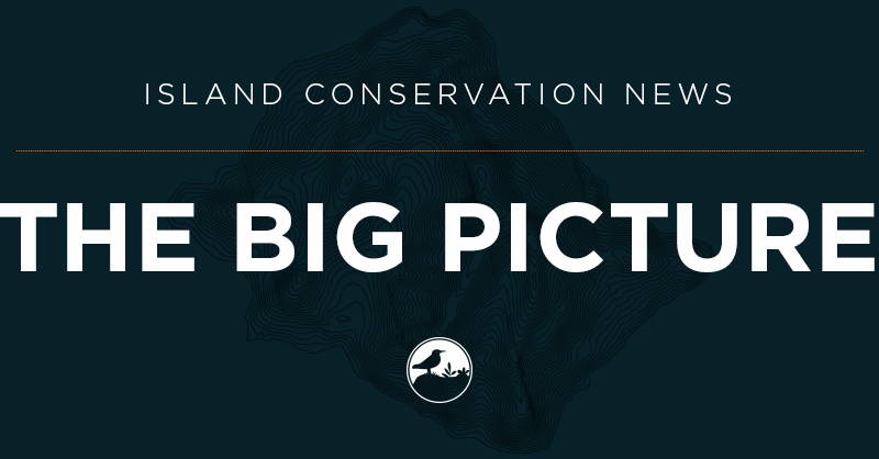 Island Conservation Big Picture - Island Conservation