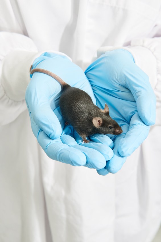 island-conservation-invasive-species-preventing-extinctions-paul-thomas-lab-mice-gene-drive-gbird