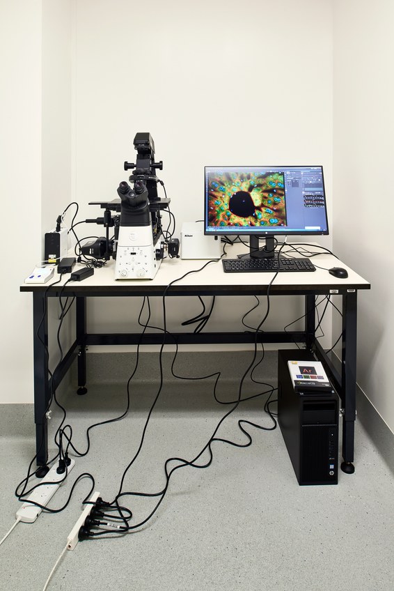 island-conservation-invasive-species-preventing-extinctions-paul-thomas-lab-microscope