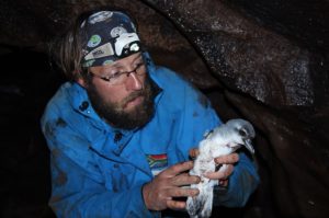 island-conservation-invasive-species-preventing-extinctions-reading-ring