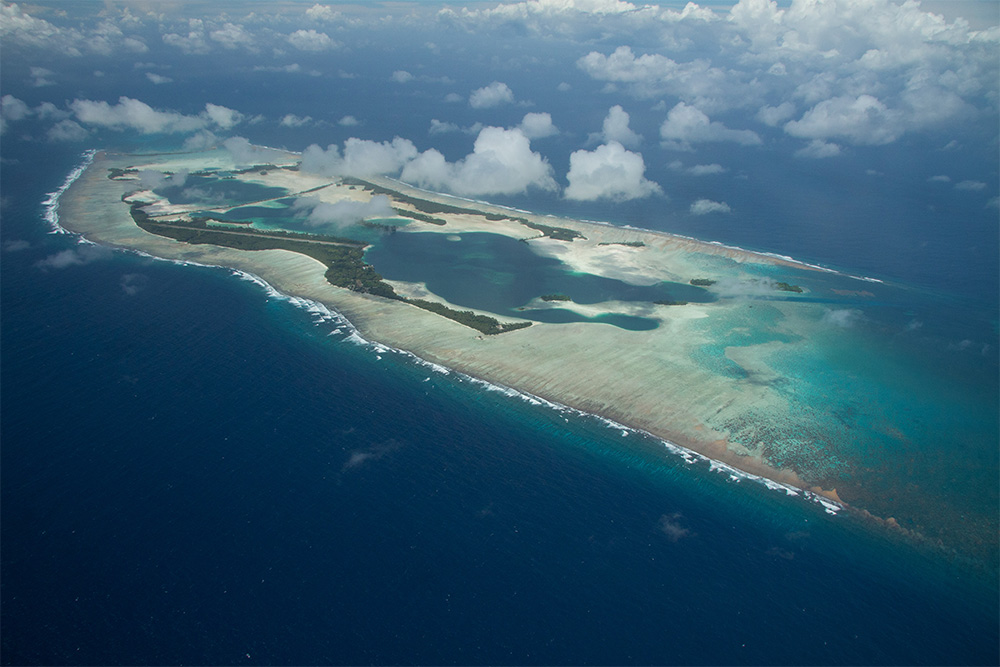 island-conservation-invasive-species-preventing-extinctions-palmyra-atoll-eradication-mosquito