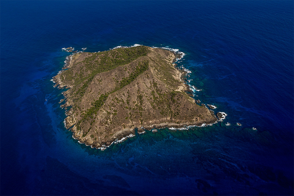 island-conservation-invasive-species-preventing-extinctions-seabird-social-attraction-desehceo-island-puerto-rico-aerial-view