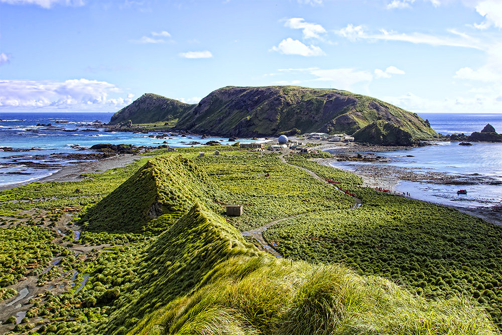 island-conservation-invasive-species-WHYY-podcast-Macquarie-Island