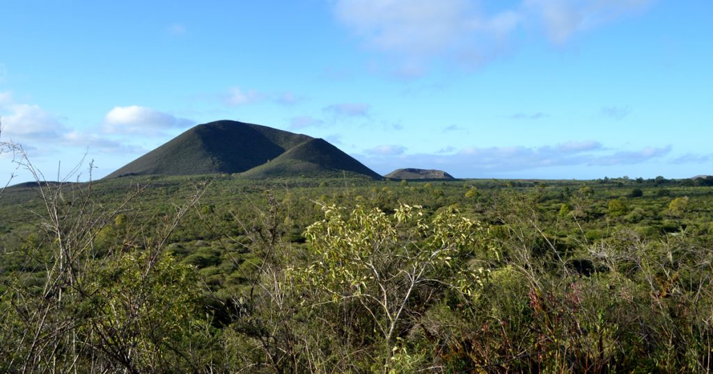 island-conservation-invasive-species-preventing-extinctions-Floreana-island-restoration-project-galapagos