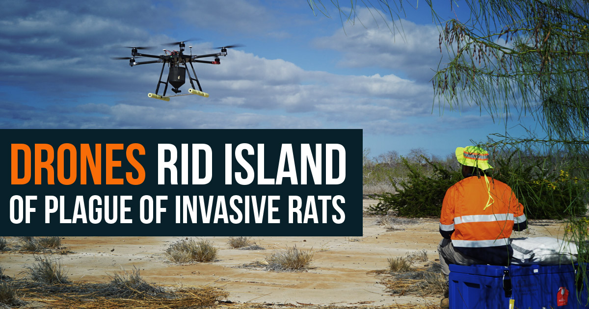 Drones in sales national parks 2019
