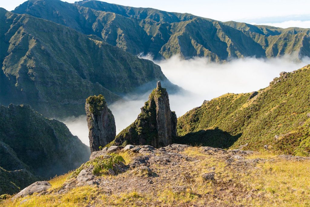 Island Conservation science preventing extinctions nick holmes et al alejandro selkirk chile