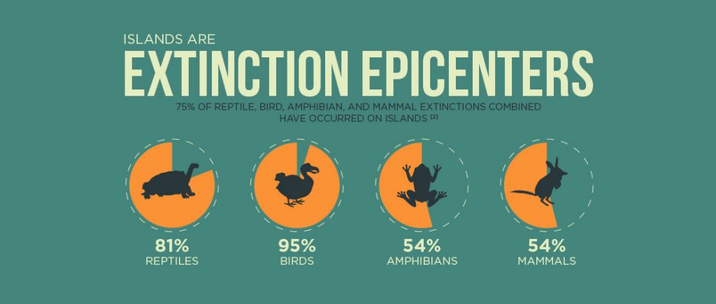 Islands are extinction epicenters