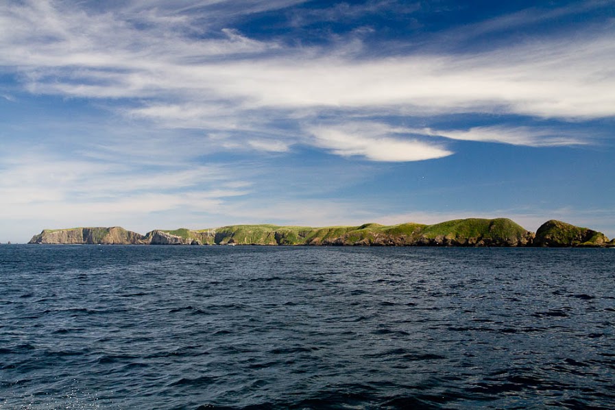 Island-Conservation-Anacapa-Island Anacapa Island