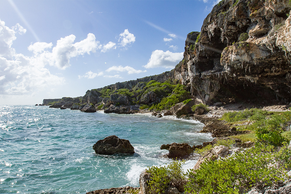 island-conservation-invasive-species-preventing-extinctions-mona-island-puerto-rico