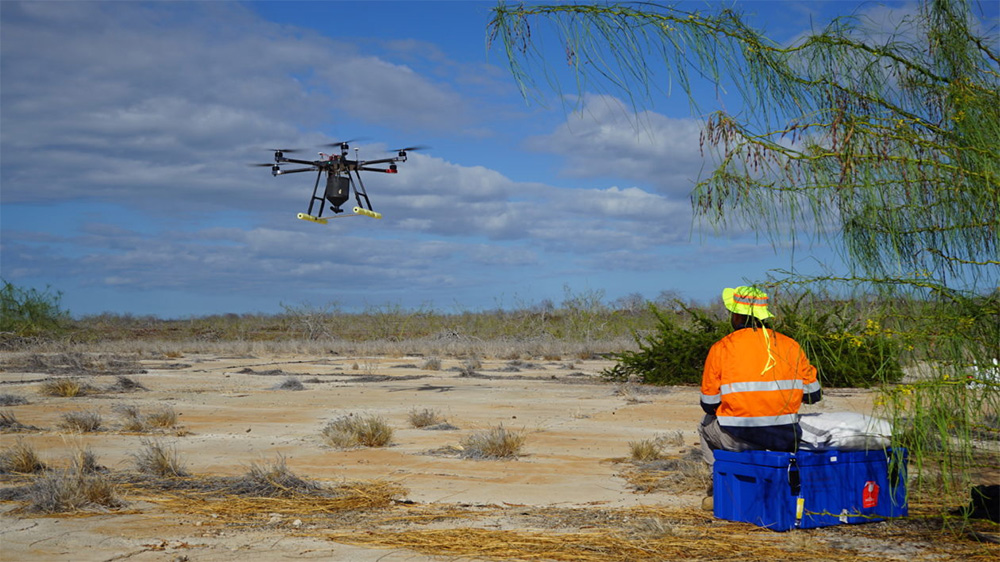 island-conservation-invasive-species-preventing-extinctions-galapagos-seymour-norte-drone-cool-green-science