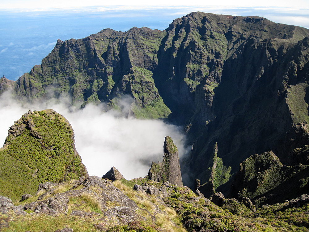 island-conservation-invasive-species-preventing-extinctions-alejandro-selkrik-island-valley