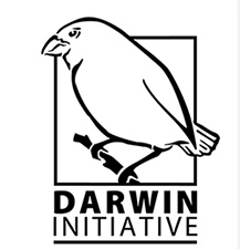 island-conservation-invasive-species-preventing-extinctions-ulithi-project-support-darwin-initiative