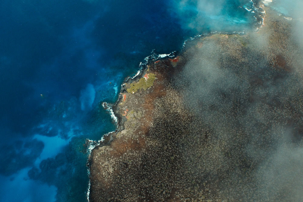 island-conservation-invasive-species-preventing-extinctions-floreana-Island