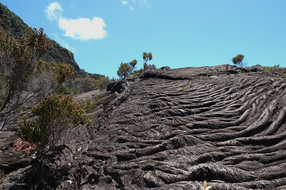 island-conservation-invasive-species-preventing-extinctions-Piton-de-la-Fourniase-lava-flow