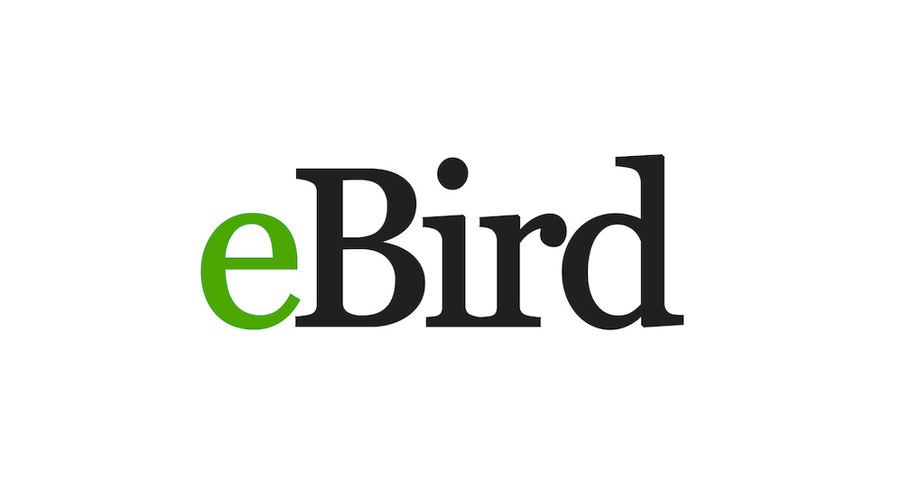 island-conservation-invasive-speices-preventing-extinctions-ebird-cornell