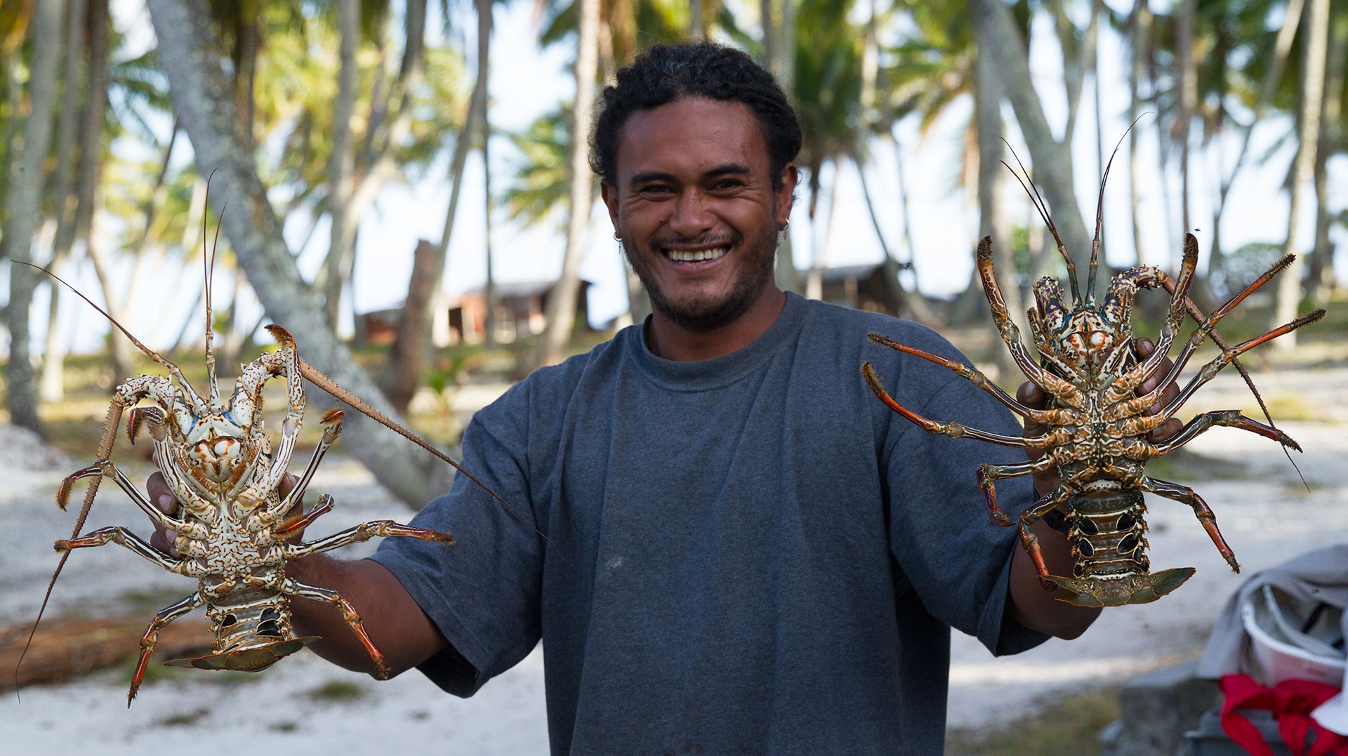 Press Release: Pursuing Sustainable Development for Island Communities by Removing Invasive Species