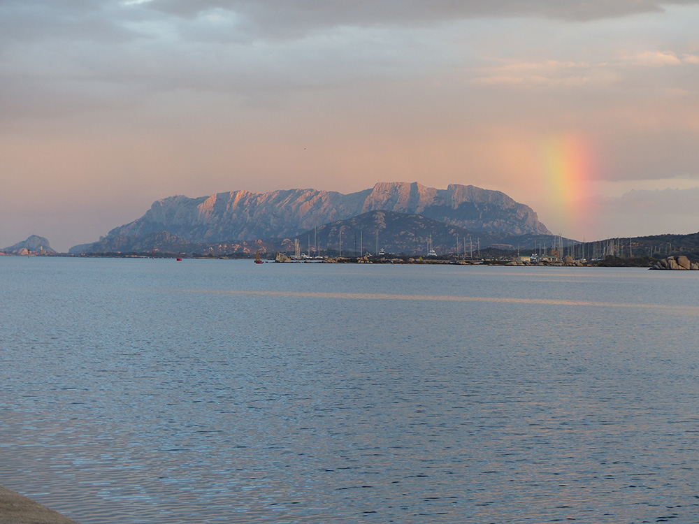 island-conservation-preventing-extinctions-invasive-species-tavolara-island-italy-conservation-success-rainbow