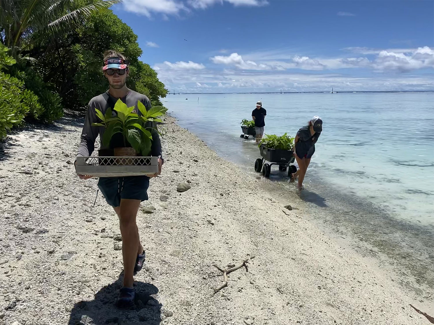 Island Conservation Nature conservancy Palmyra atoll USFWS native plants