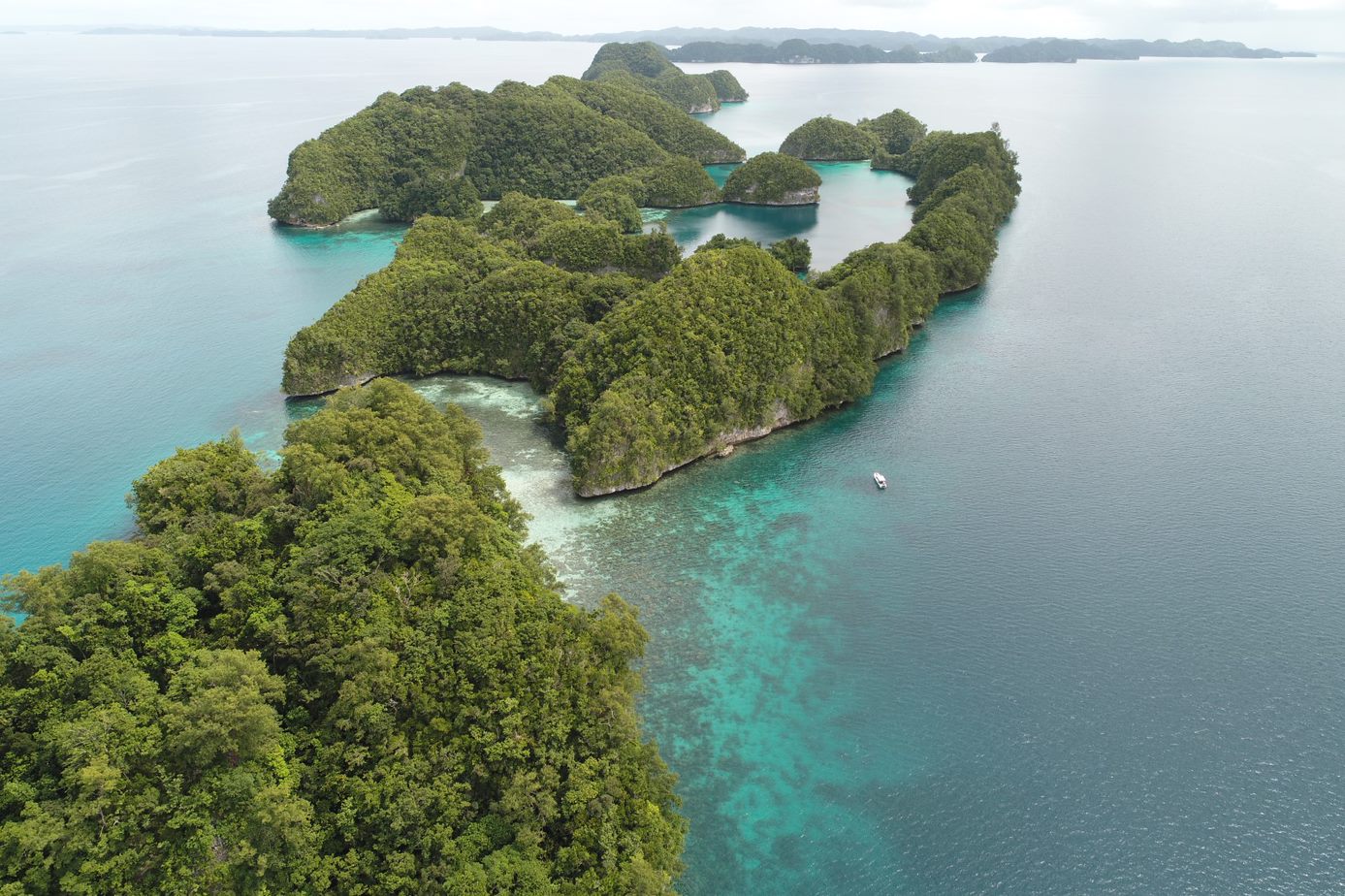 Ulong island, Palau island conservation Timo Sullivan
