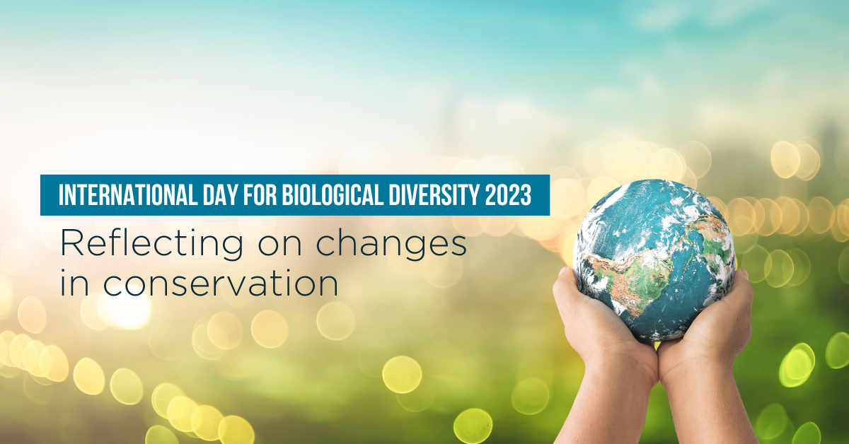 Island Conservation International Day for Biological Diversity 2023 Reflecting on changes in
