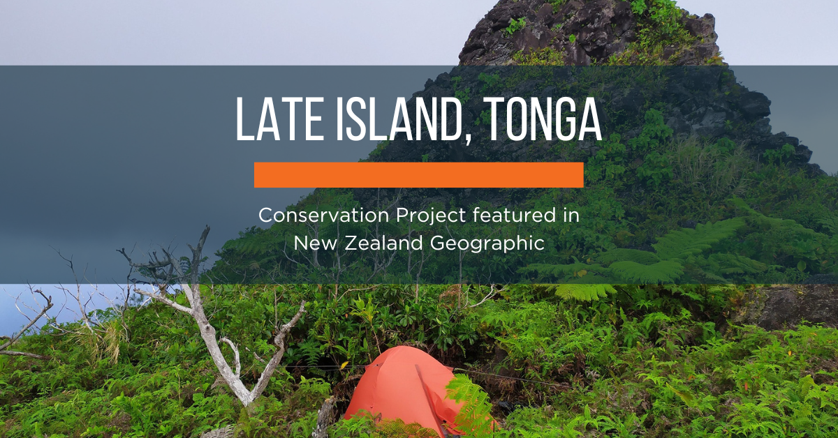 Island Conservation Late Island in New Zealand Geographic Island