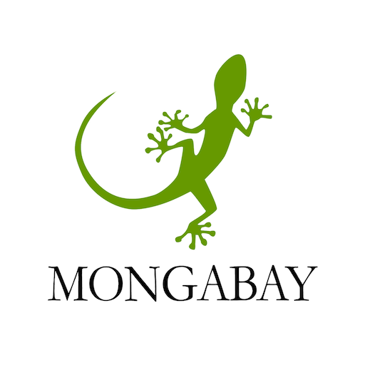 environmental news mongabay
