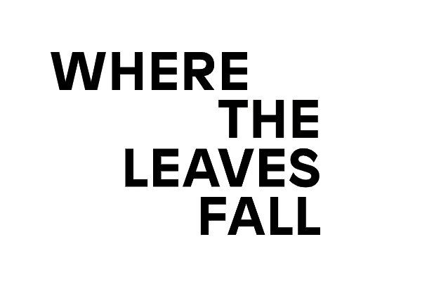 environmental blog where the leaves fall