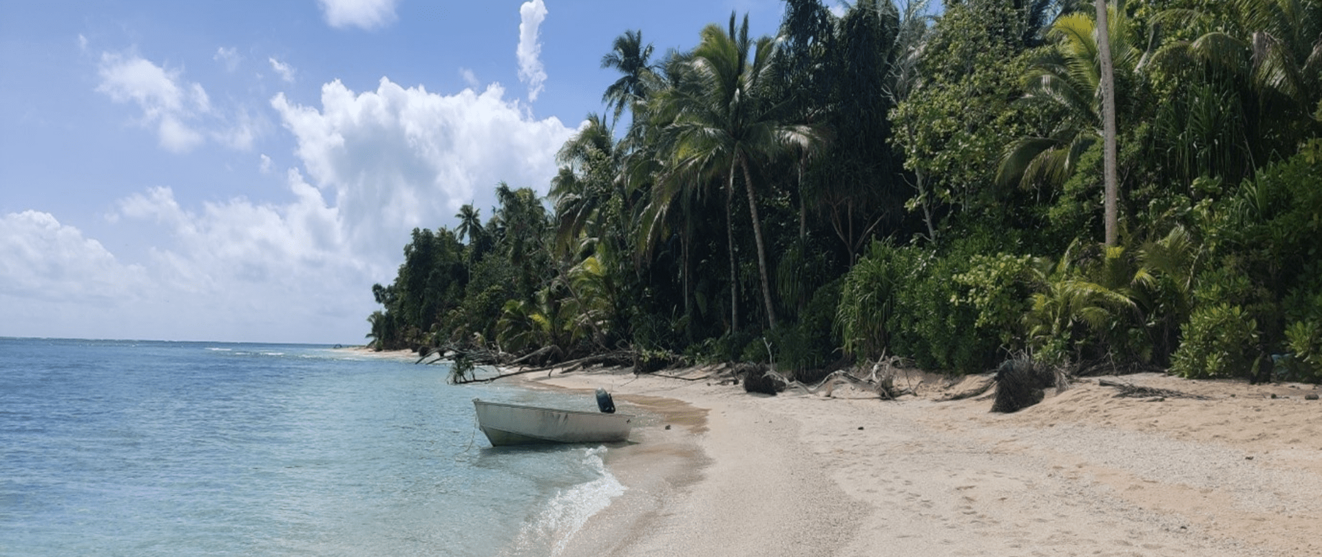 Notes from the Field: Restoring Tepuka and Funafuti Atoll