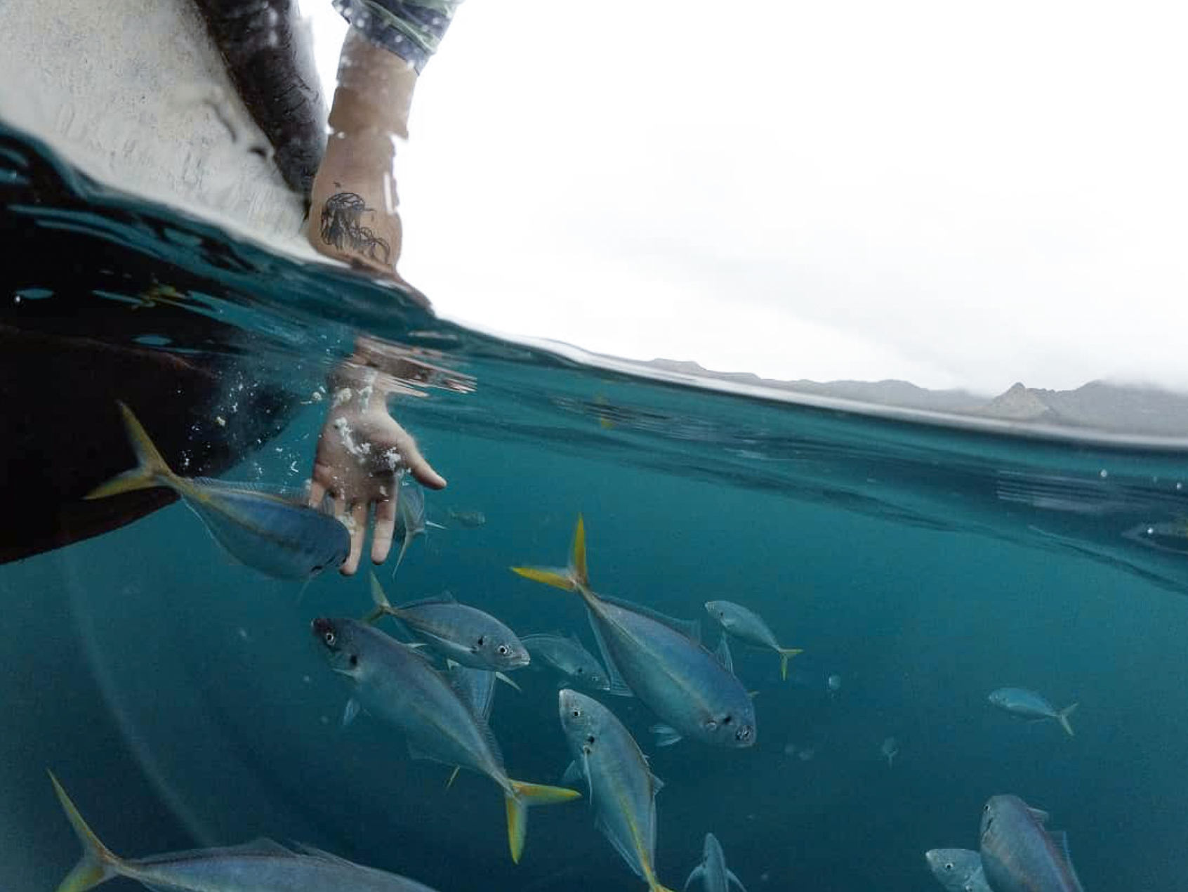 robinson crusoe hand in water_conservation photos