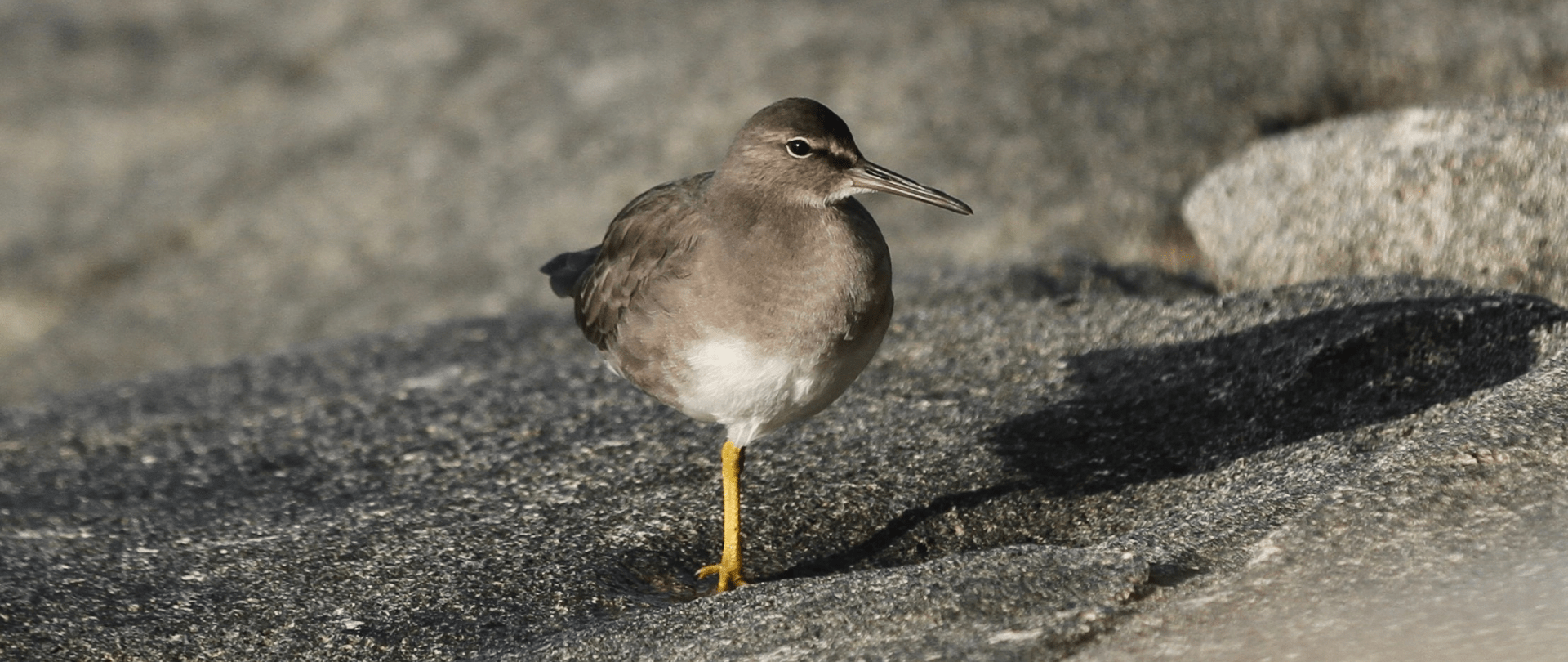 Social Attraction on Kamaka: Notes from the Field