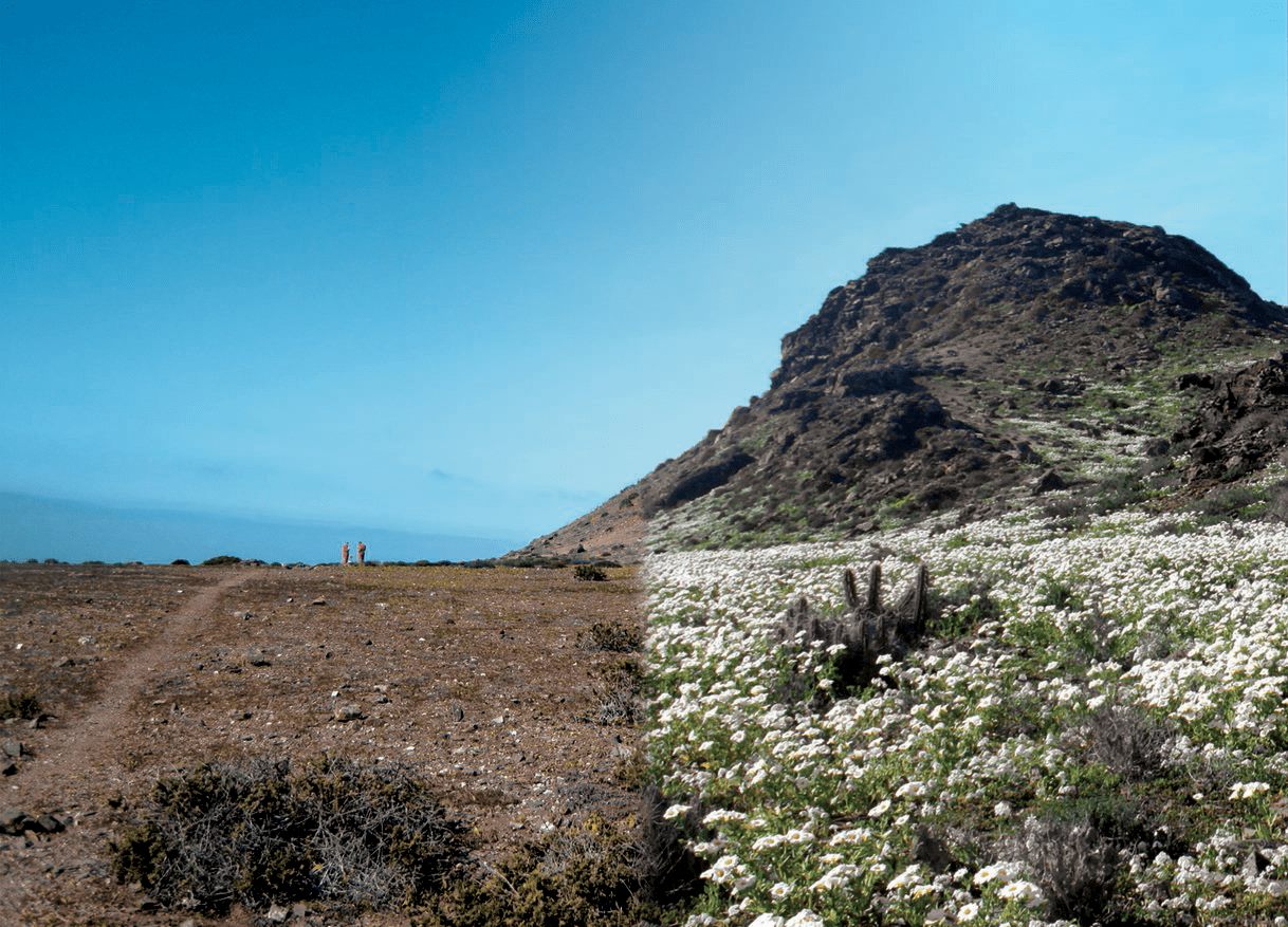 IC-Choros-Before-and-After-(1) (1)