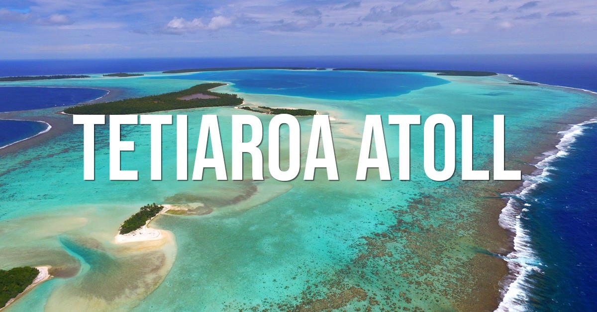 Preserving Tetiaroa: Island Conservation’s Baudouin des Monstiers featured in Mongabay