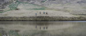 International Day for Biological Diversity 2023 Reflecting on changes in conservation