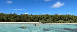 Scientific American covers Island Conservation’s success building climate resilience by restoring islands