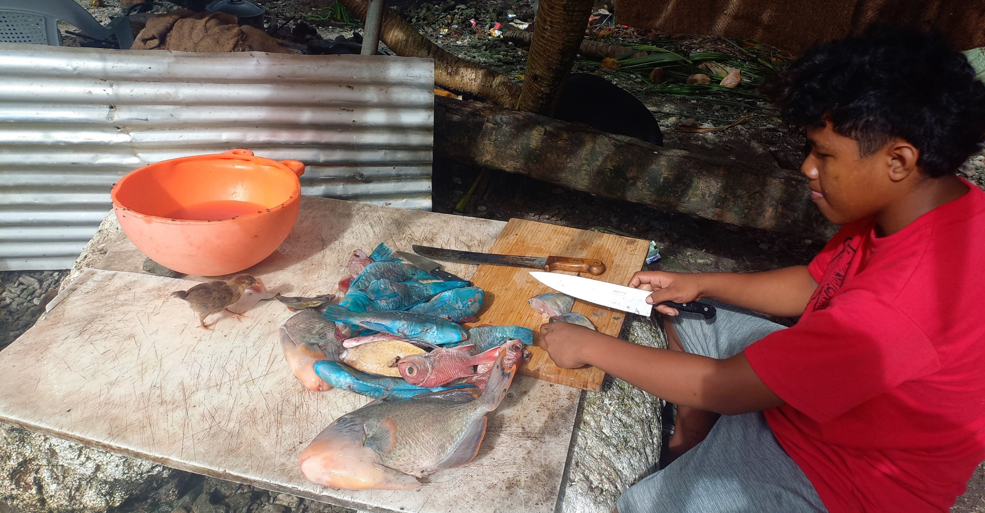 Local fisherman processing fish on Nadikdik Atoll, Marshall Islands
