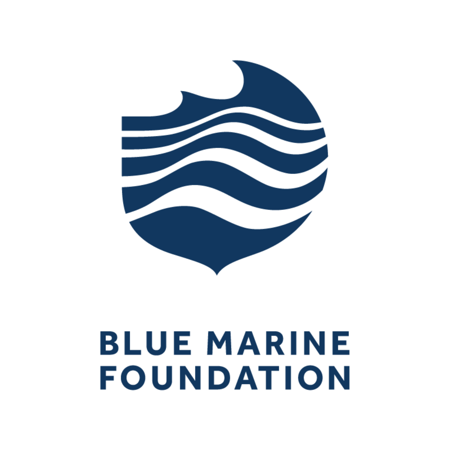 Blue Marine Foundation logo_blue